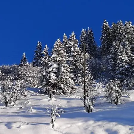 Grosses Mit Sauna Im Skigeb. * אוברסקסן
