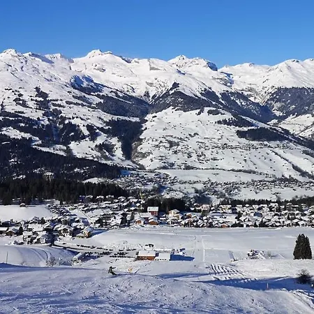 別荘 Grosses Mit Sauna Im Skigeb. *