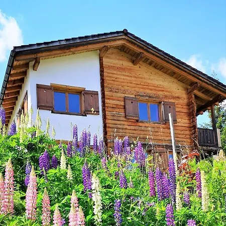 Casa de Férias Grosses Mit Sauna Im Skigeb.
