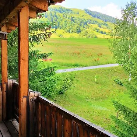 בית נופש Grosses Mit Sauna Im Skigeb. *
