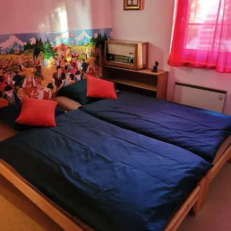 Grosses Mit Sauna Im Skigeb. オーバーサクセン