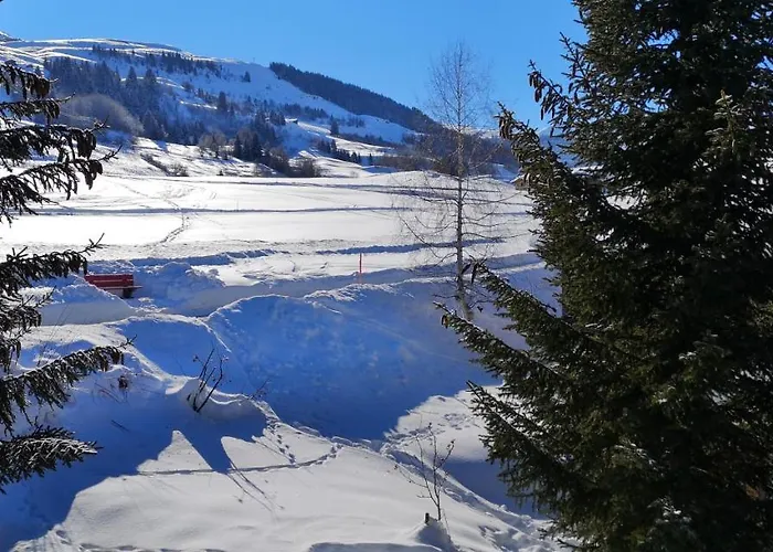 Grosses Mit Sauna Im Skigeb. *