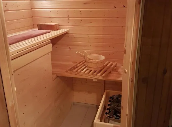 度假居 Grosses Mit Sauna Im Skigeb. 上萨克森