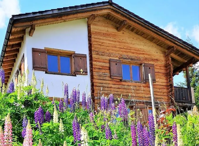 Holiday home Grosses Mit Sauna Im Skigeb.