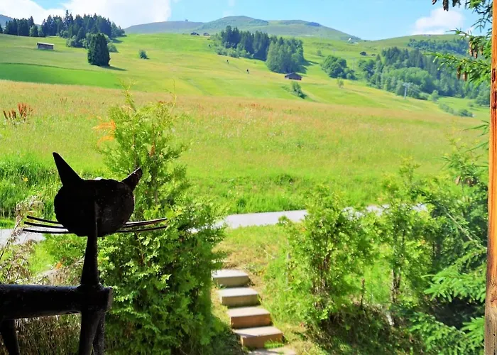 Grosses Mit Sauna Im Skigeb.