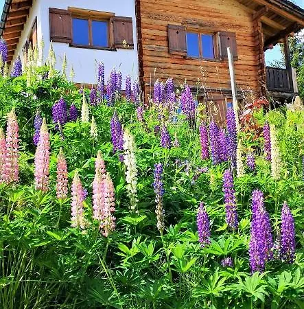 펜션 Grosses Mit Sauna Im Skigeb. *