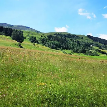 펜션 Grosses Mit Sauna Im Skigeb.