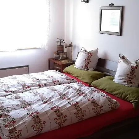 Grosses Mit Sauna Im Skigeb. 펜션