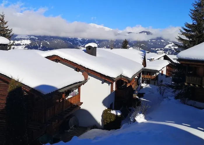 Grosses Mit Sauna Im Skigeb.