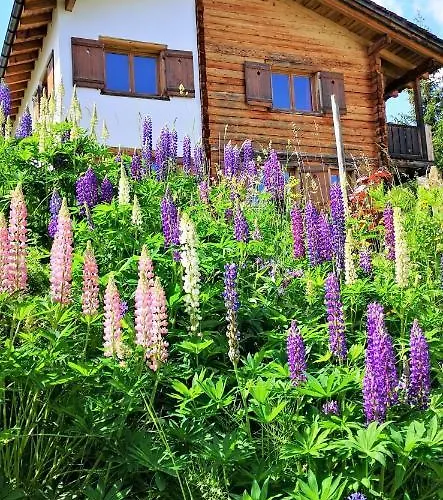 Hébergement de vacances Grosses Mit Sauna Im Skigeb. *