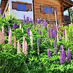 Tatil Evi Grosses Mit Sauna Im Skigeb. *