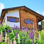 Tatil Evi Grosses Mit Sauna Im Skigeb.