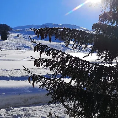 Grosses Mit Sauna Im Skigeb. *