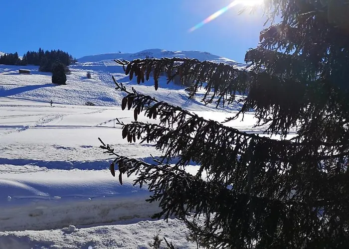 Grosses Mit Sauna Im Skigeb. *